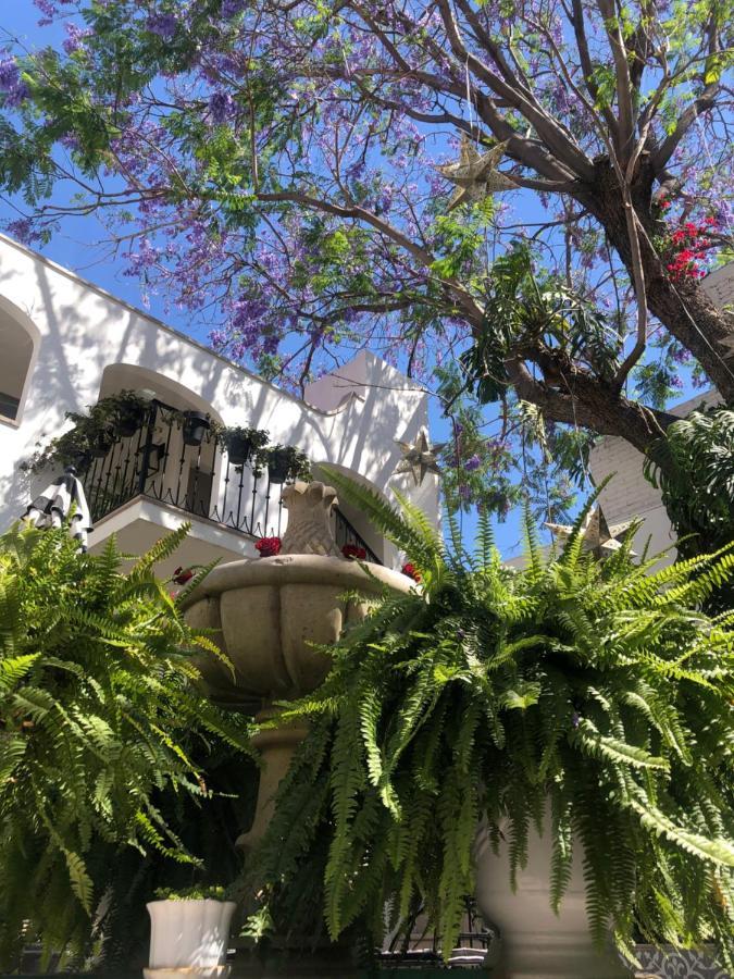 Casa Lani Luxury B&B San Miguel de Allende Luaran gambar