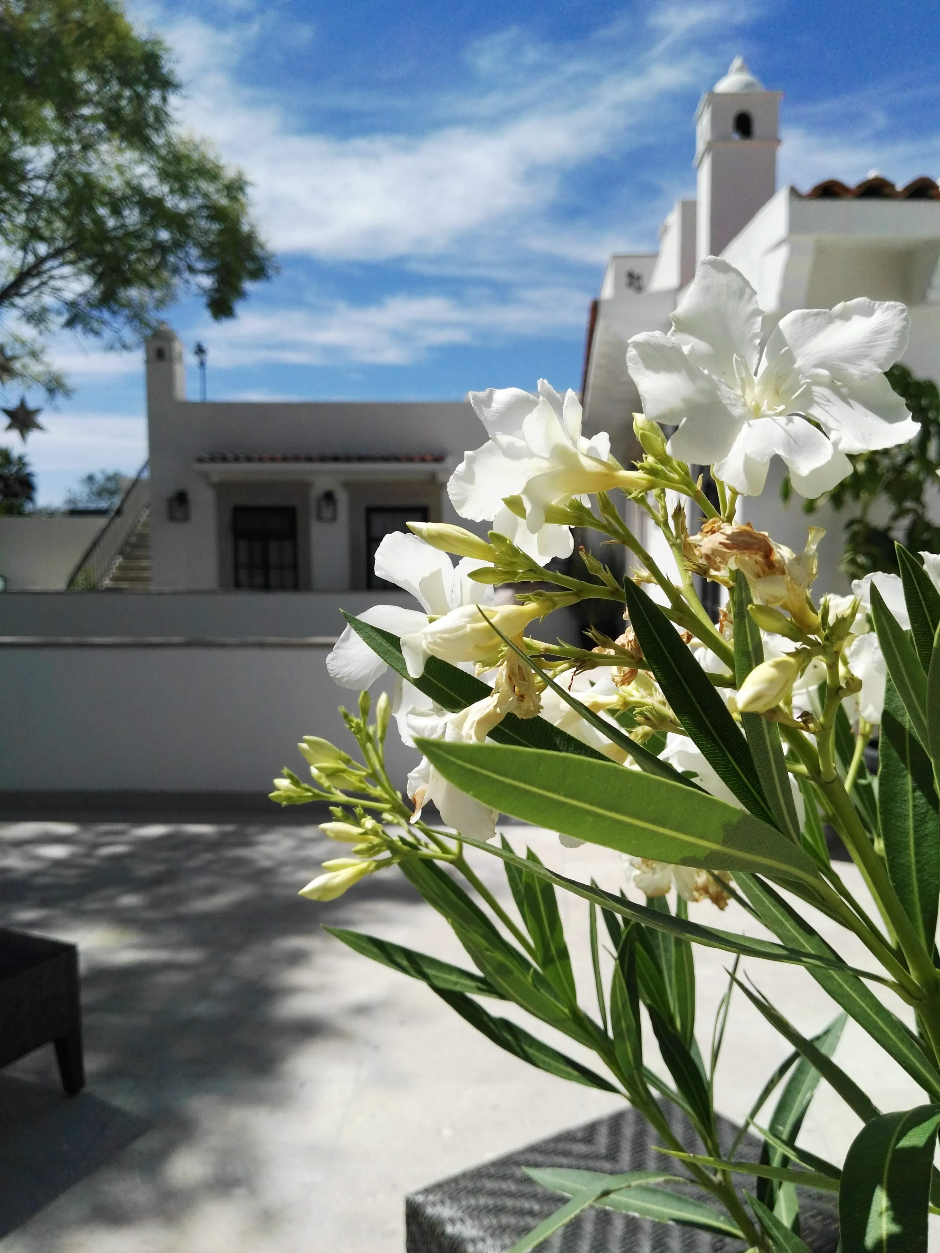 Casa Lani Luxury B&B San Miguel de Allende Luaran gambar