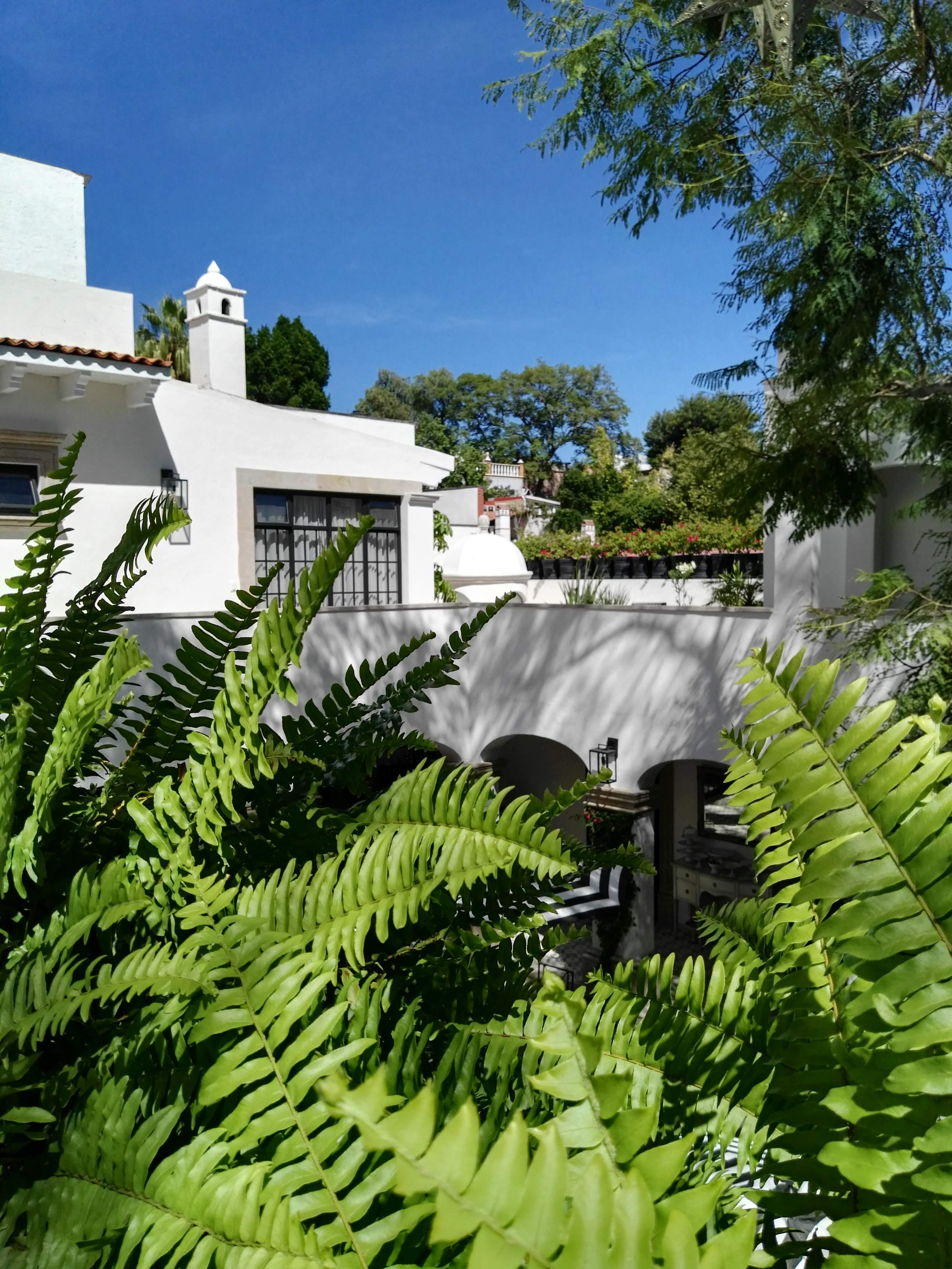 Casa Lani Luxury B&B San Miguel de Allende Luaran gambar